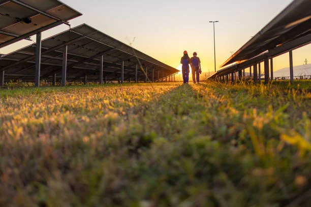 Private Investment Opportunities in Mexico’s Renewable Energy and Storage Sectors: A Gold Rush in the Land of Sun and Wind