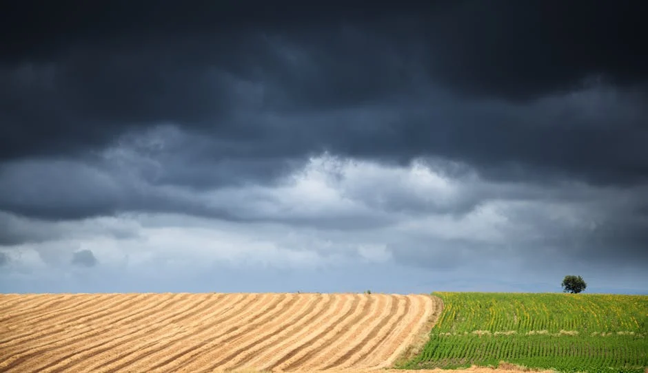 A visually striking farmland landscape beneath a dramatic stormy sky, featuring harvested fields and a lone tree.